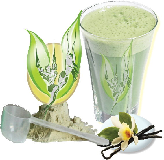 banderole-vegan-protein-shakes-glass.png