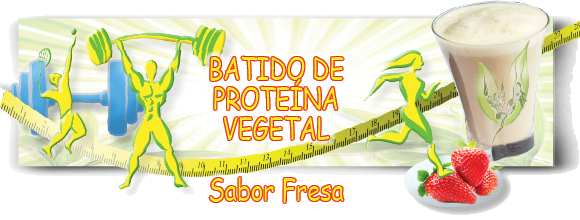 BATIDO-PROTEINA-VEGETAL-vainilla
