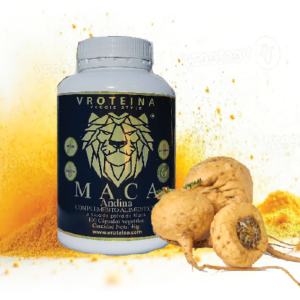 MACA